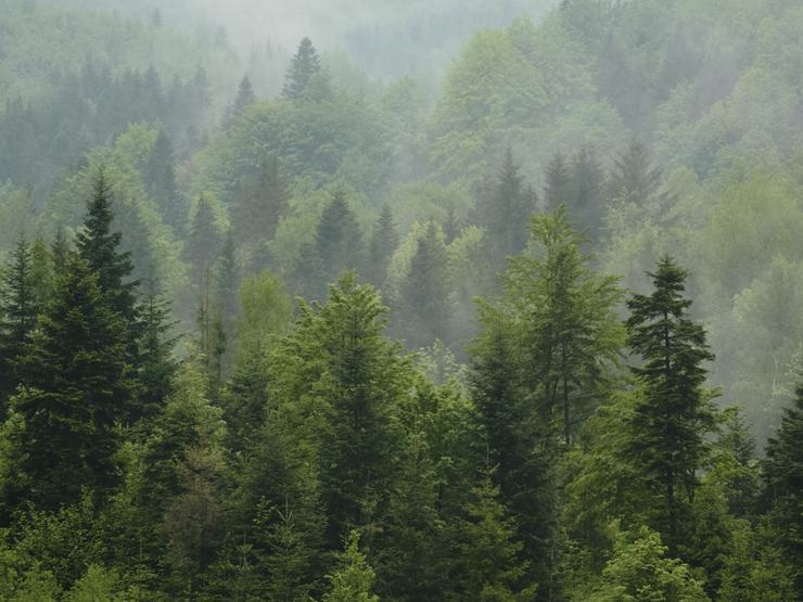 Sustainability