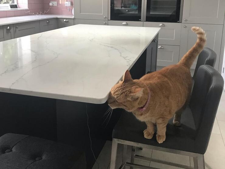 A two tone grey and navy shaker kitchen with quartz worktops, built in ovens, and pink tiles. 