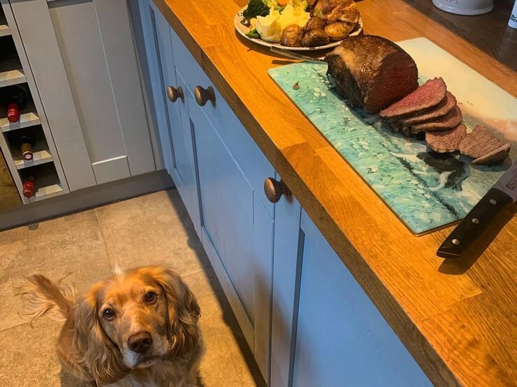 a blue shaker kitchen for pets with copper handles, wooden worktops and stone flooring. 