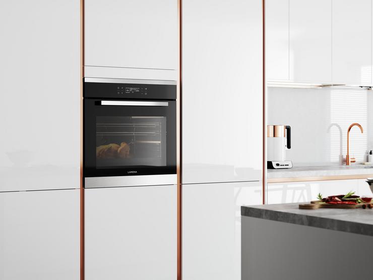 Steam Oven In Situ