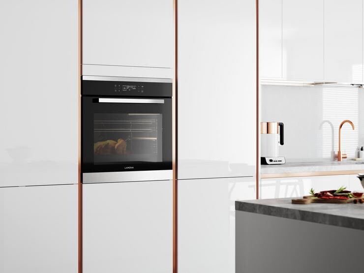 Steam Oven In Situ
