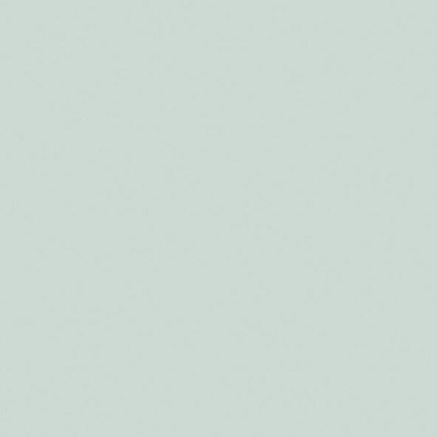 Menta Gloss Backboard