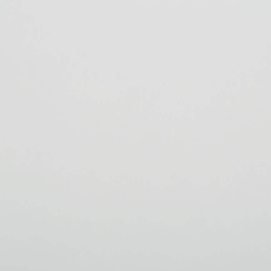 White Swatch