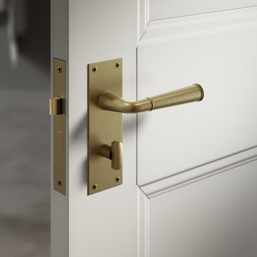 Arno Antique Brass Bathroom Backplate Situational