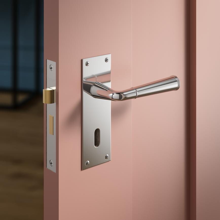 Arno Polished Chrome Lock Backplate Situational