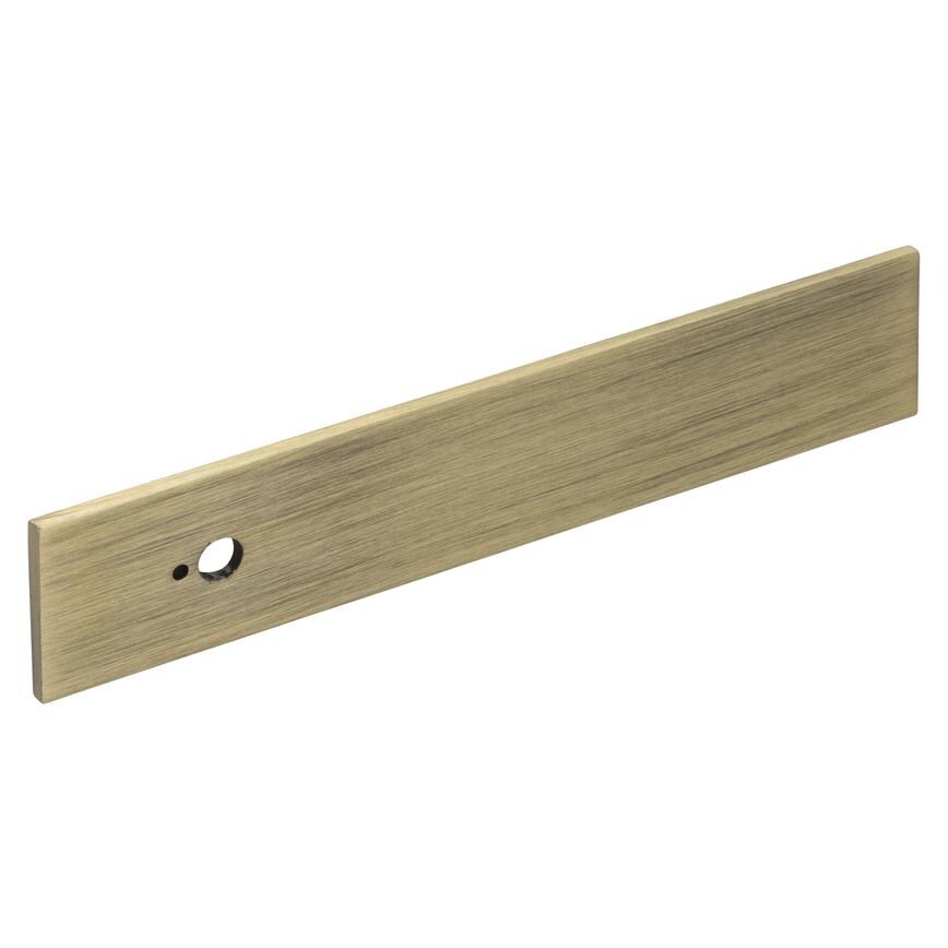 aged brass effect backplate