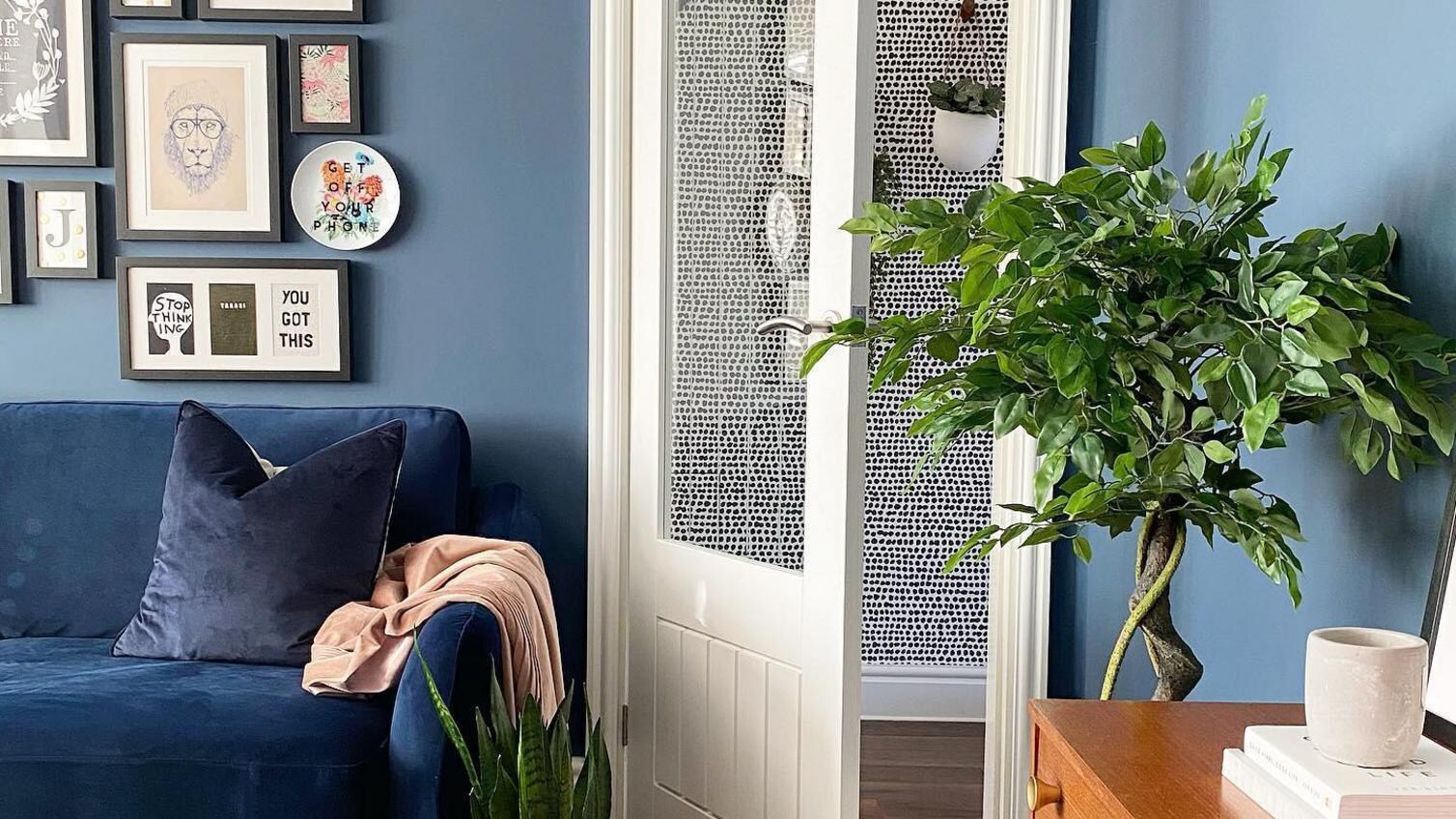 A blue living room with a white glazed door